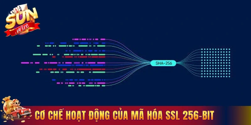 Cơ chế mã OTP của hệ thống bảo mật & an toàn tại Sunwin