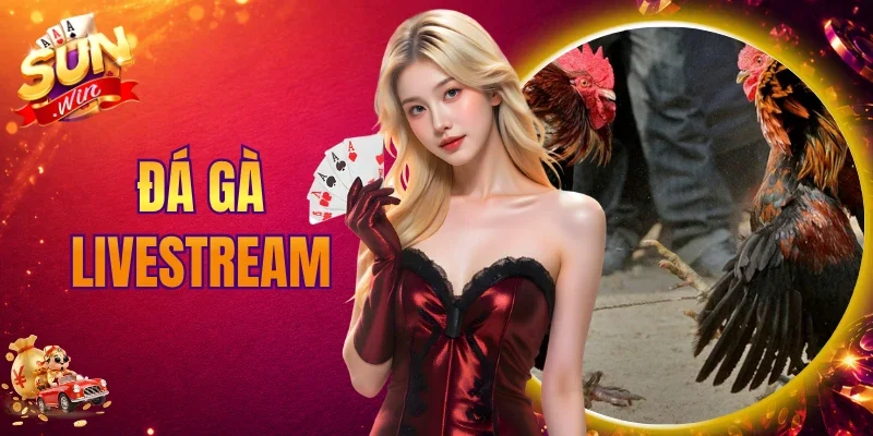 Đá Gà Livestream