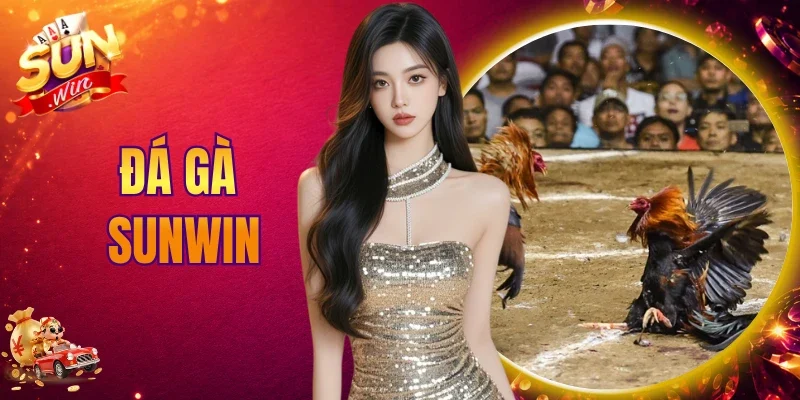 Đá Gà Sunwin