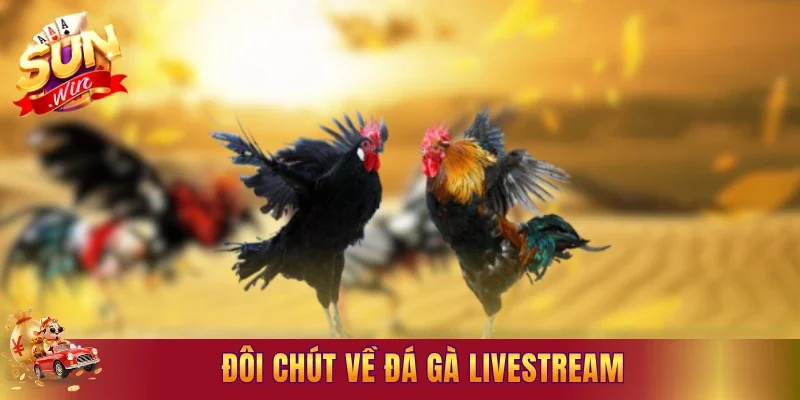 Đôi chút về đá gà livestream