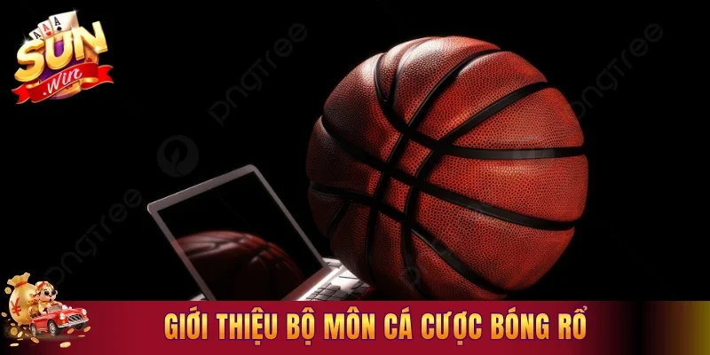 Giới thiệu bộ môn cá cược bóng rổ