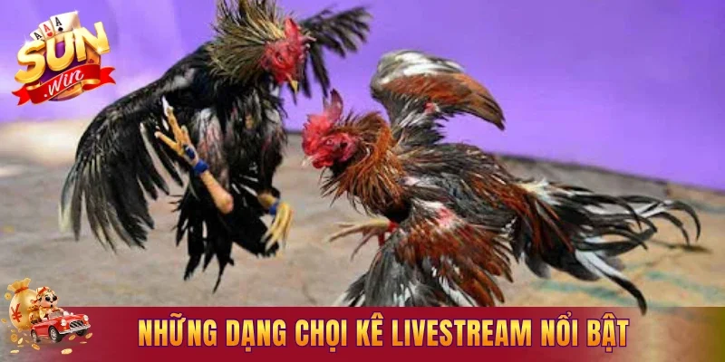 Những dạng chọi kê livestream nổi bật đáng để theo dõi